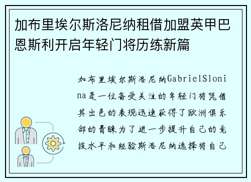 加布里埃尔斯洛尼纳租借加盟英甲巴恩斯利开启年轻门将历练新篇